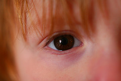 Child's Eye