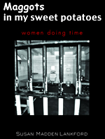 maggots book cover